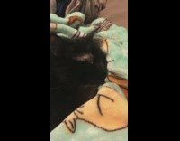 Black cat wrapped in blue blanket bed 