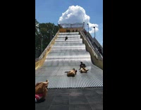 People slide down bumpy roof like slide