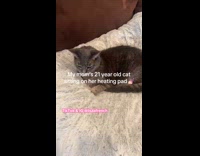 Woman shows senior  cat doesnt look old