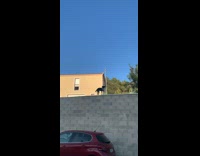 Dog stand over the wall red car