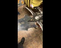 Guy brings home a huge sharp sword