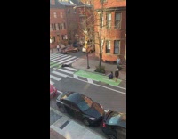 Collab IITW - Yoga pose green bicycle lane couple photoshoot