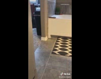 Mom son fake poop prank