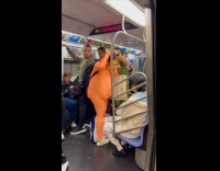 Woman wears Lorax costume spotted on subway