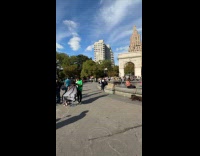 Submitter shows people random things at park