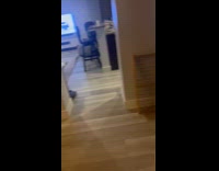 Collab ClipsIG - Family scream when girl ask whats dinner