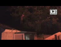 Guy jumps off roof near bonfire fire 