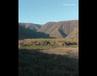 Drone flies backwards grey orange tent hawaii 