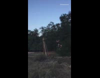 Guy homemade zipline too fast runs into ladder pole at end