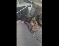 Lady Steps on the Brake for Driver