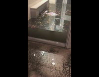 Custodian tries to clean up flood mess with broom 