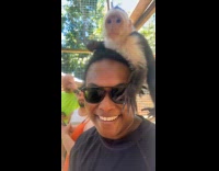 Capuchin monkeys climbs on couples heads 