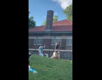 Two men tiktok dances on tree stump