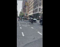 Old guy swerves through traffic on bike with parrot 