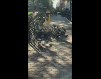 Person feeding and surrounded by pigeons at the park 
