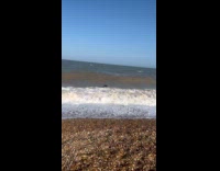 Black dog run towards waves fetch ball