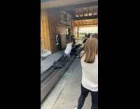 Guy speeds down slide and cant stop sled 