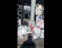 Submitter films rat advertisement photo on street