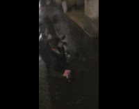 Guy tries to slide across wet sidewalk 