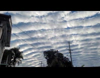 Submitter shows altocumulus clouds from yard 