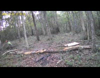 Man knocks down barricade at airsoft battle