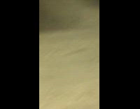 NSFW man on pornography website on phone