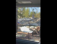 Straw hat guy skis down grey rock 