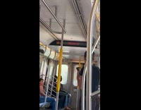 Women film large dragonfly fly inside train