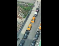 Guy chases horse around sidewalk 