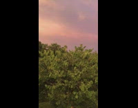 Cloudy sunset with purple and orange colored sky