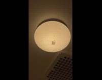 Spiders and eggs in light in room