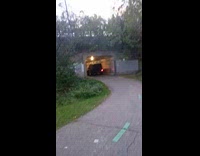 Man found car with bullet holes and fire 