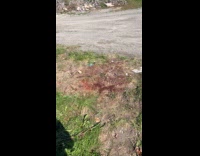 Small beads on ground glow change color