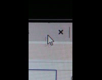 Small bug crawl inside computer screen tabs