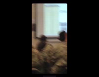 BitchMP - army guy disney app