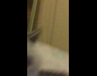 Collab KaleSaladIG - a girl and her cat with face masks