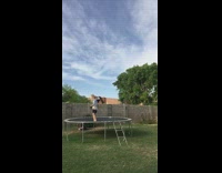 Kid falls off trampoline bird chirp laughs