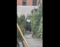 Woman feeling the christmas spirit in the tree market