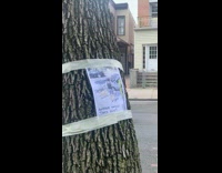 Man gets caught not picking up dog poop