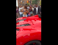 Man drives Ferrari feeds monkey while driving