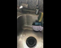 Collab BitchMP - Dripping sync rhythm