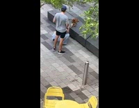 Woman takes picture of dog on grey bench 