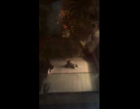 Woman bend over stretch on rooftop night