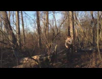 Boy is close to getting hit by tree he cut down 