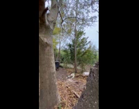 Boy on bike jumps ramp to ramp