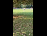 Guy white shirt  capoeira dance park leaves