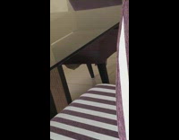 Small grasshopper jumps from chair to owners hands