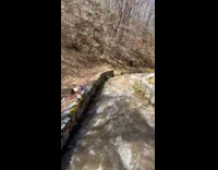 Lady in Athletic Apparel Films Workout Next to River 
