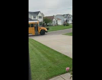 Kids Cheer on Curly Kid as He Gets Off Bus