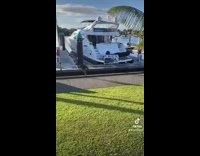 Collab BitchMP - Kangaroo hops into water in dock by accident 